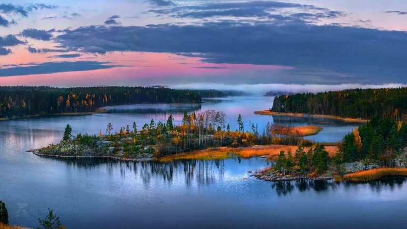 Карелия лес Ладога