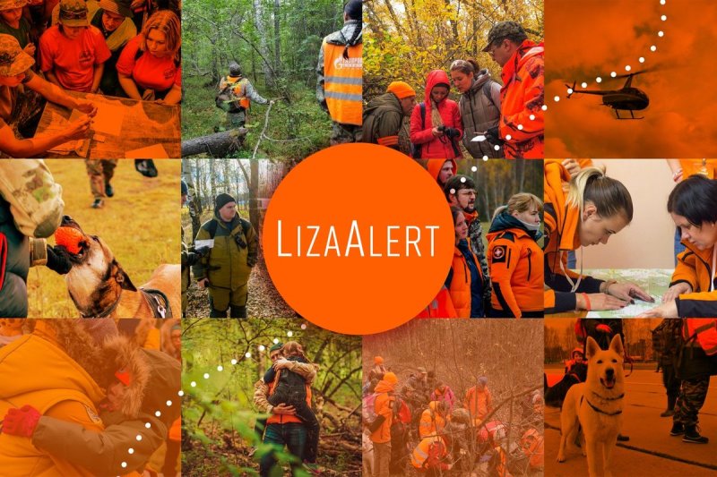 Лиза Алерт волонтеры