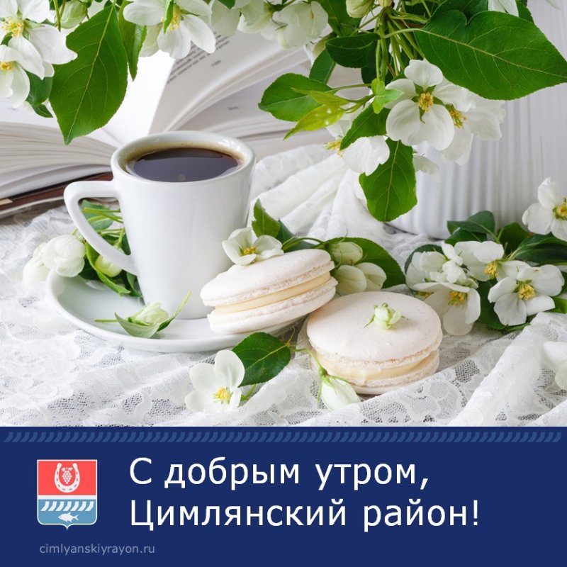 Утренние цветы