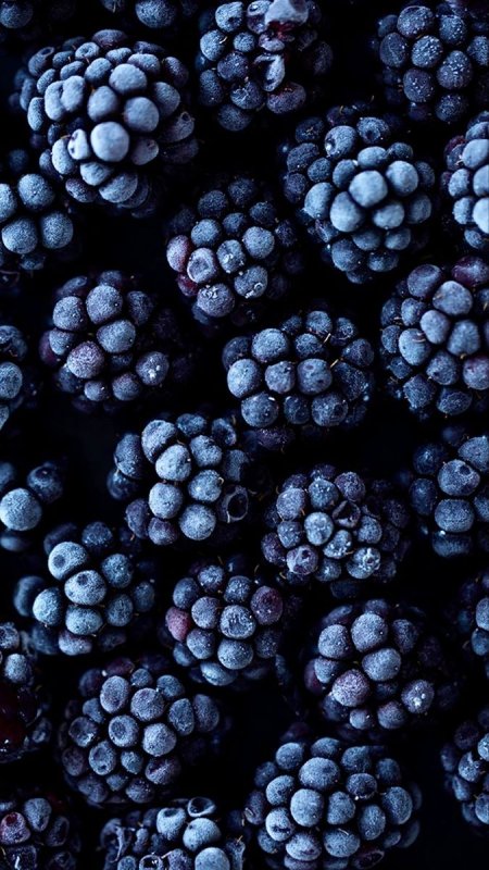 Темно синие ягоды