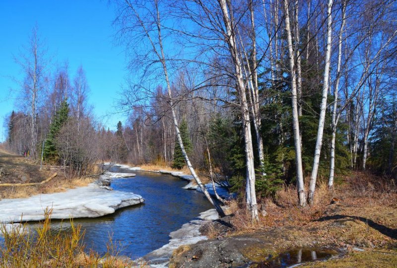 Весенняя Проталинка Левитана
