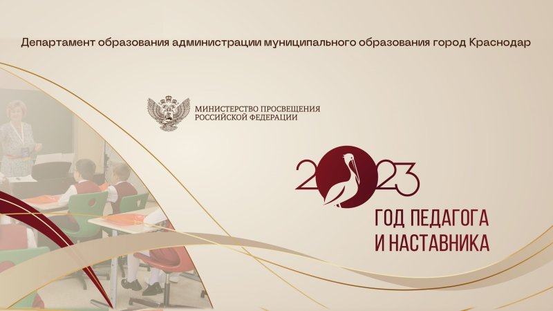 Год педагога и наставника брендбук