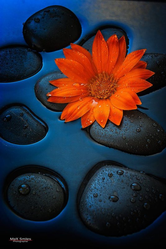 Красивые обои на телефон