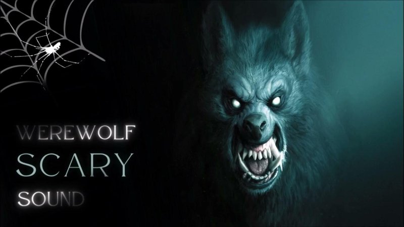 Волк оборотень Werewolf