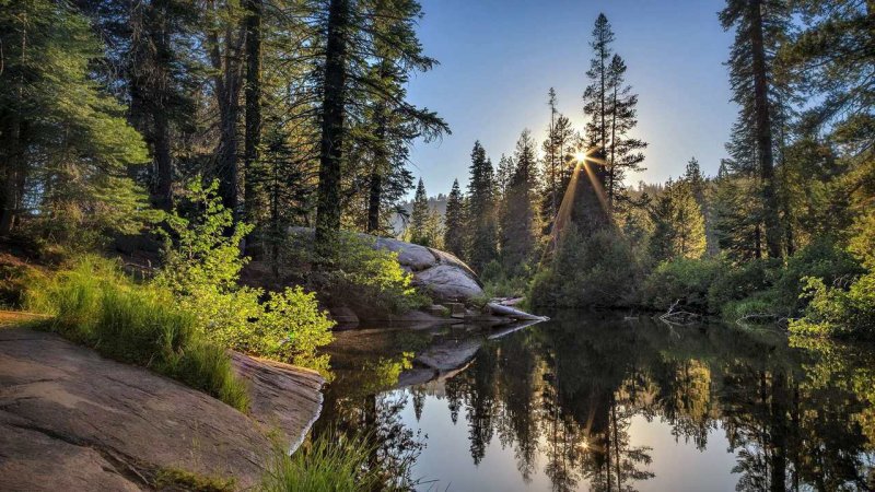 Карелия Тайга