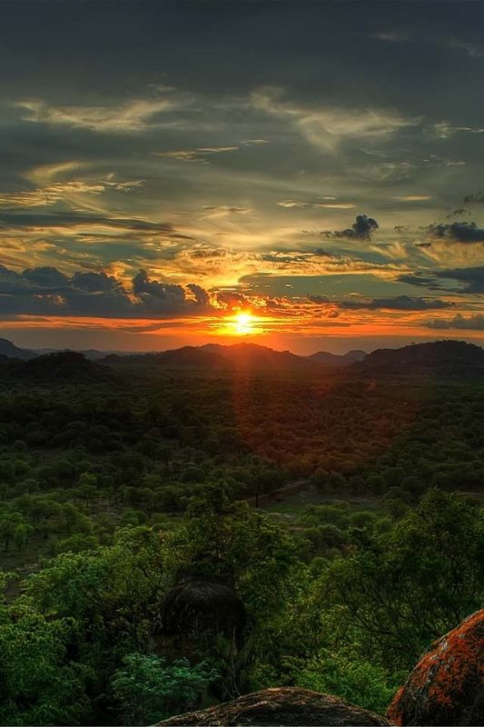 Горы лес закат