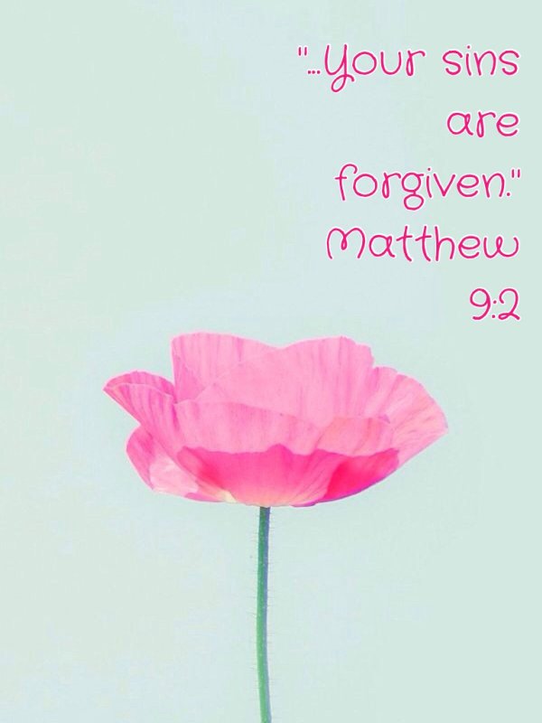 Цветы на мятном фоне