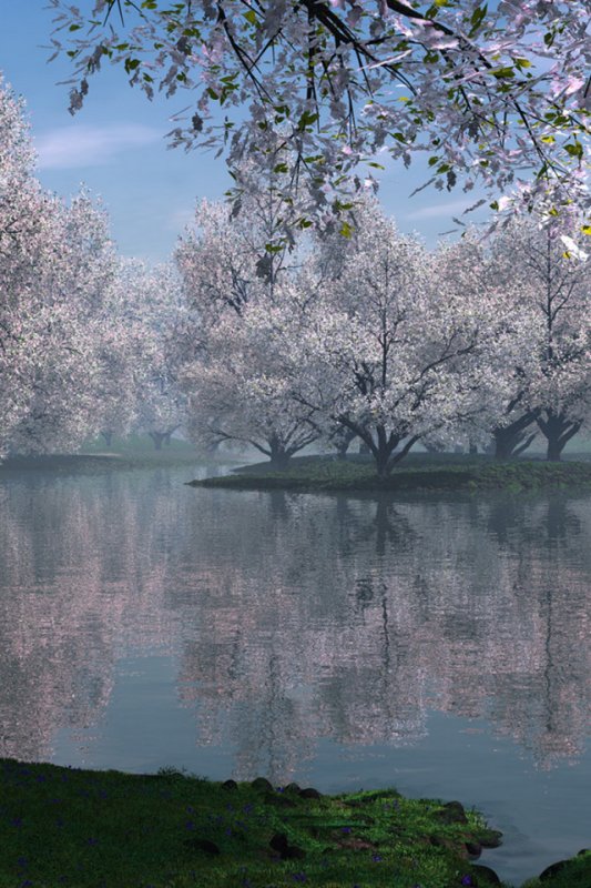 Красивые пейзажи весны