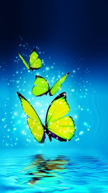 Заставка бабочки