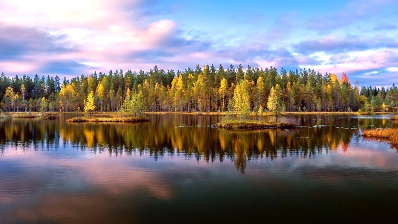 Лесное озеро Карелия