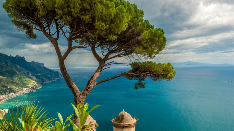 Италия Амальфи сосна