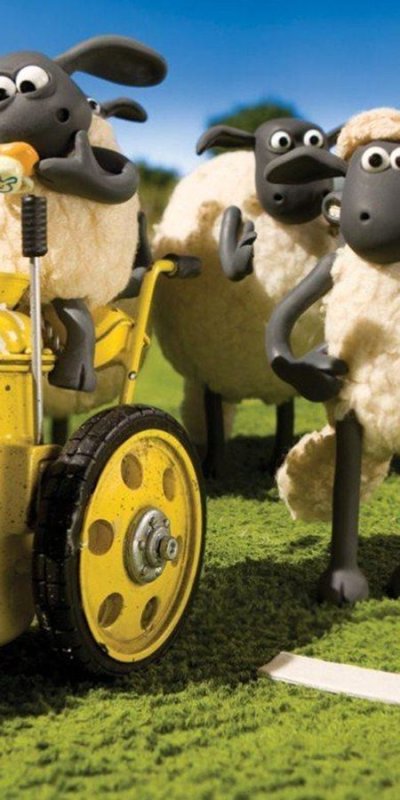 Барашек Шон