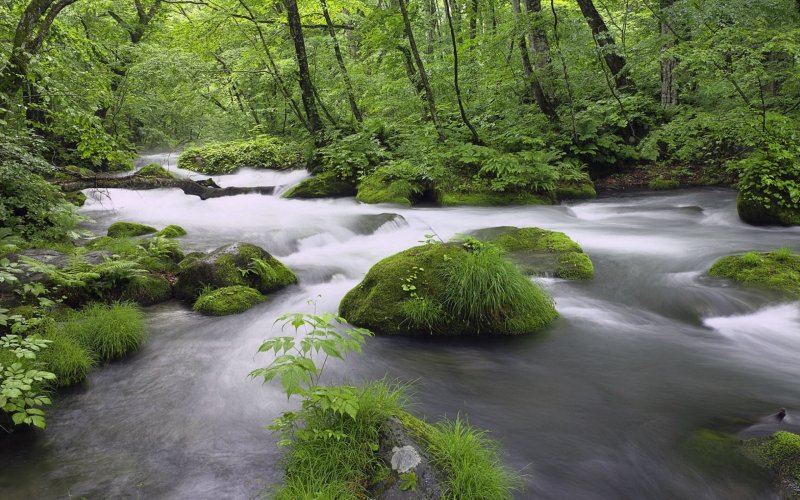 Красивая природа