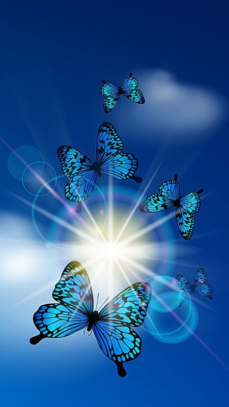 Заставка бабочки