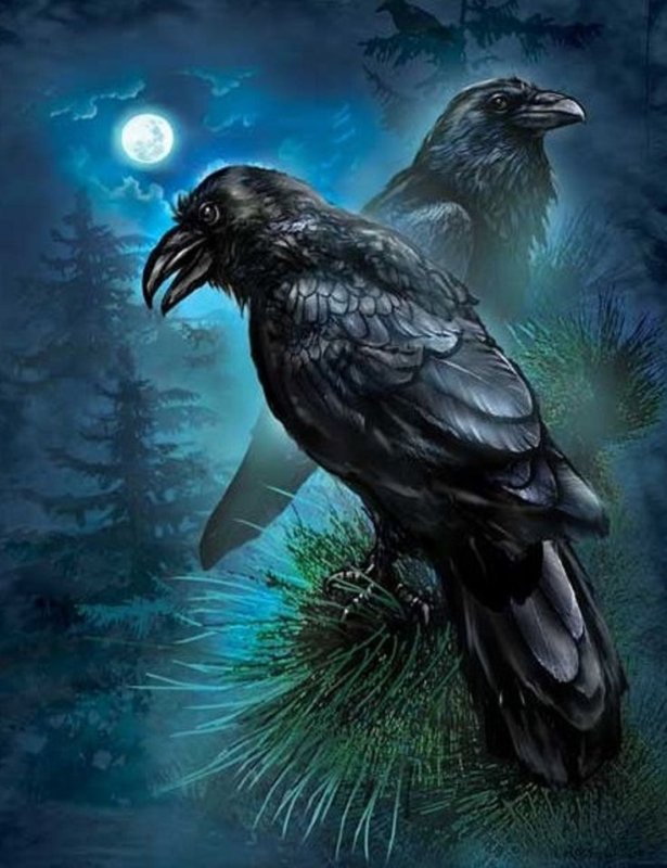 Хугин ворон арт фэнтези