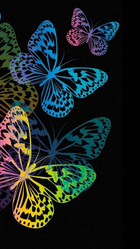 Бабочка на темном фоне