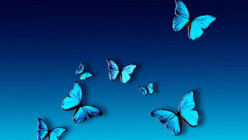 Весы напольные Irit ir-7128