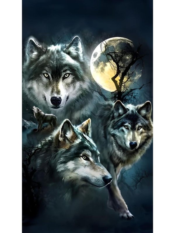 Красивая Волга