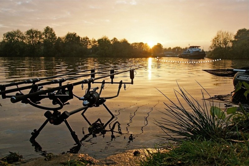 Карпфишинг красивые