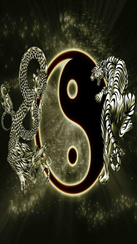 Заставка на телефон дракон