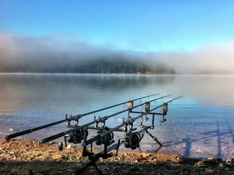 Карпфишинг красивые