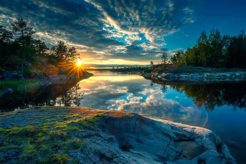 Карелия лес Ладога