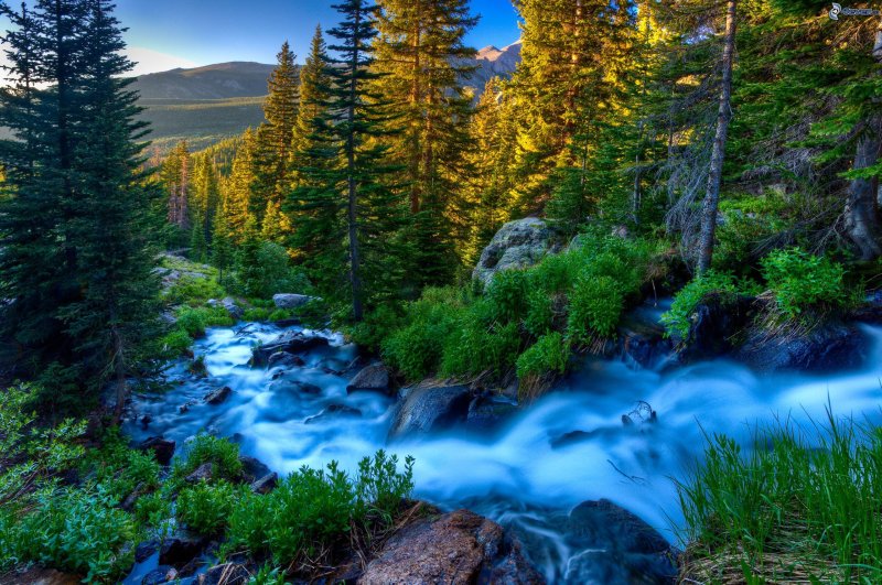 Прекрасная природа