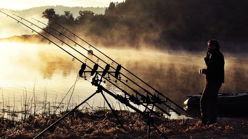 Фидер (Рыбная ловля)