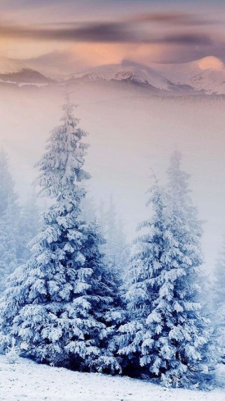 Зимний пейзаж