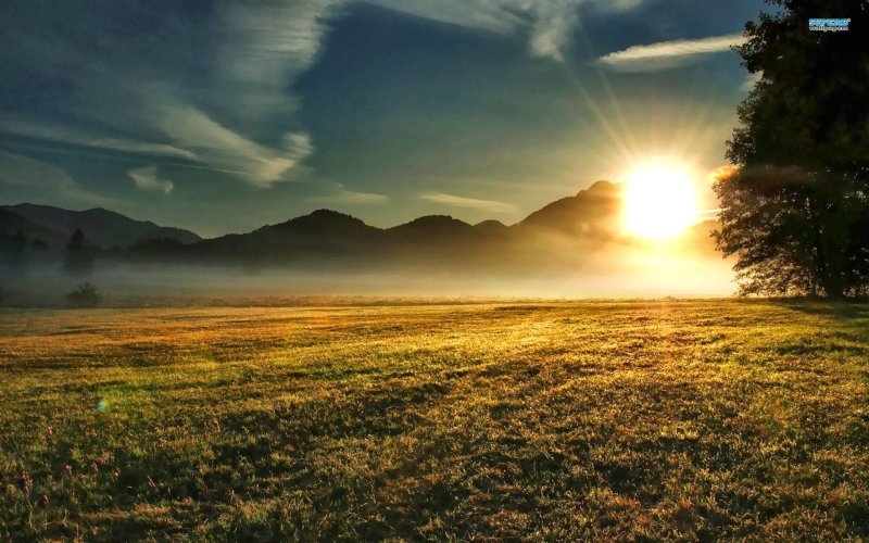 Солнце рассвет