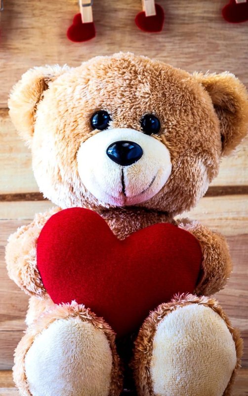 Красивый плюшевый мишка