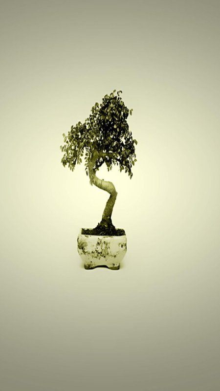 Дерево вертикальное