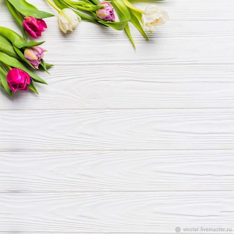 Фон для прейскуранта салона красоты