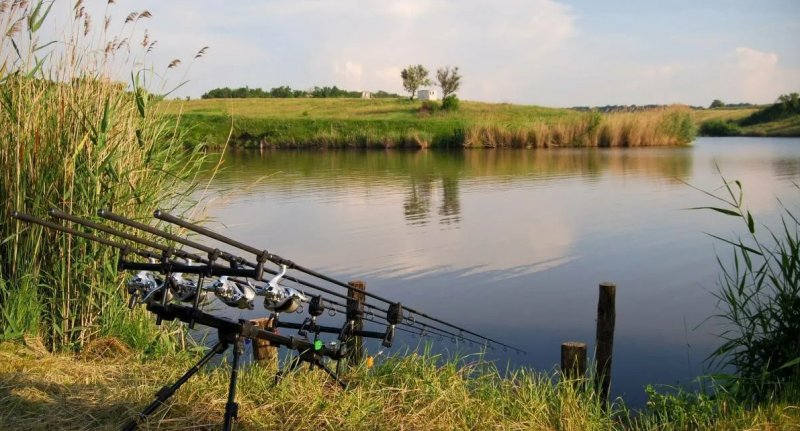 Удочки на берегу