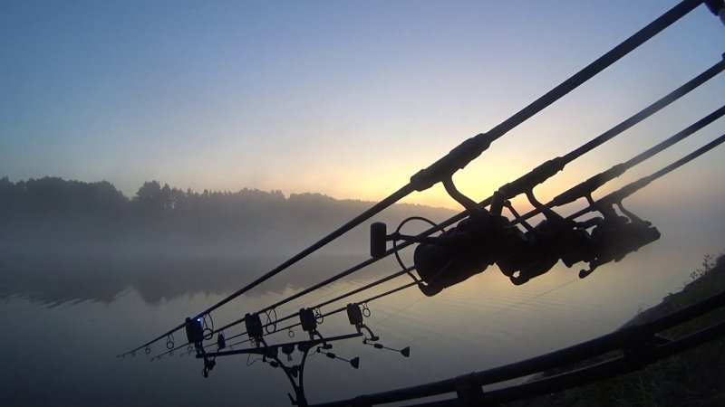 Доброе утро карпфишинг