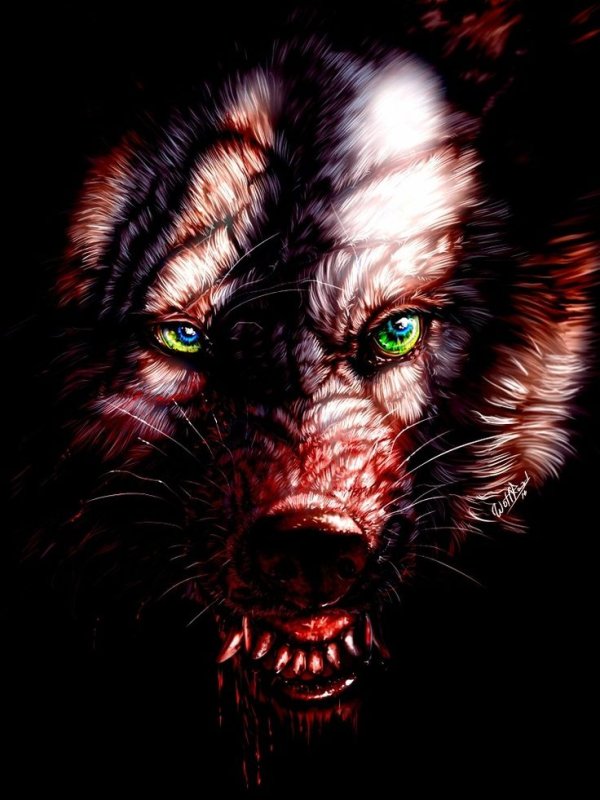 Вервольф волк оборотень злой