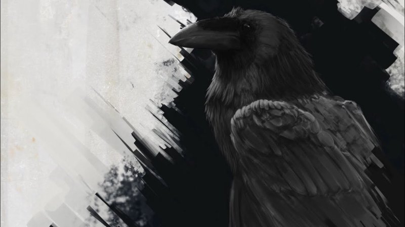 Черный ворон