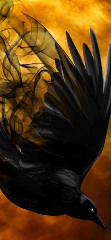 Ворон арт