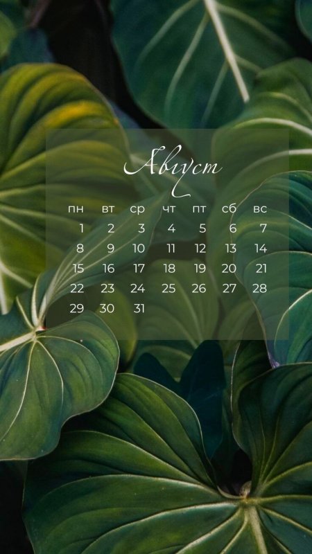 Заставки на телефон