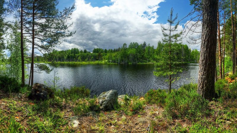 Остров Кильпола Карелия