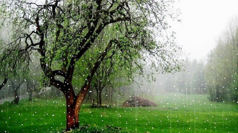 Весна дождь