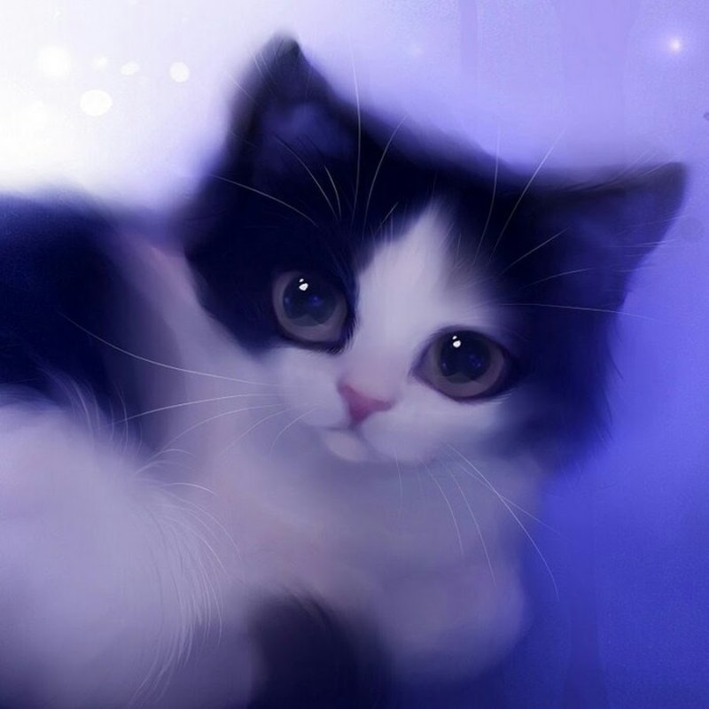 Котики мультяшные