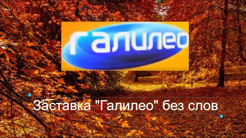 Галилео СТС 2013