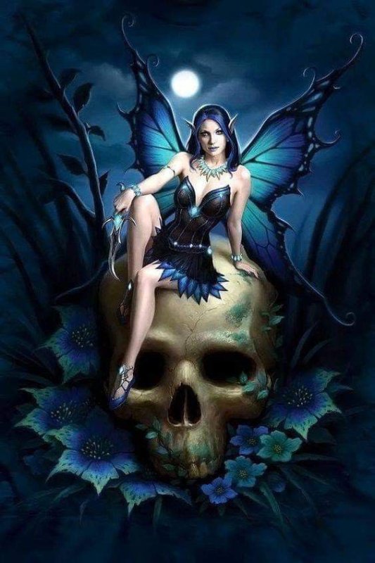 Анна Стоукс Anne Stokes