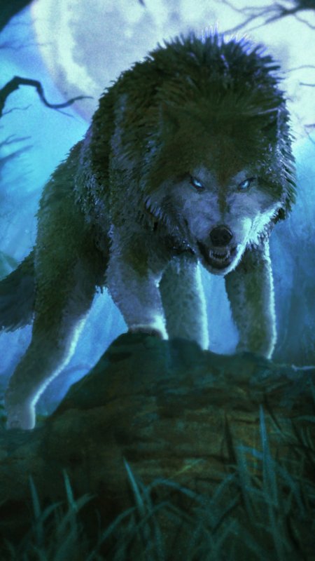 Волк в ярости