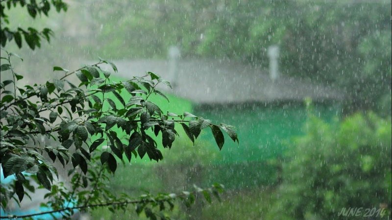 Дождь летом