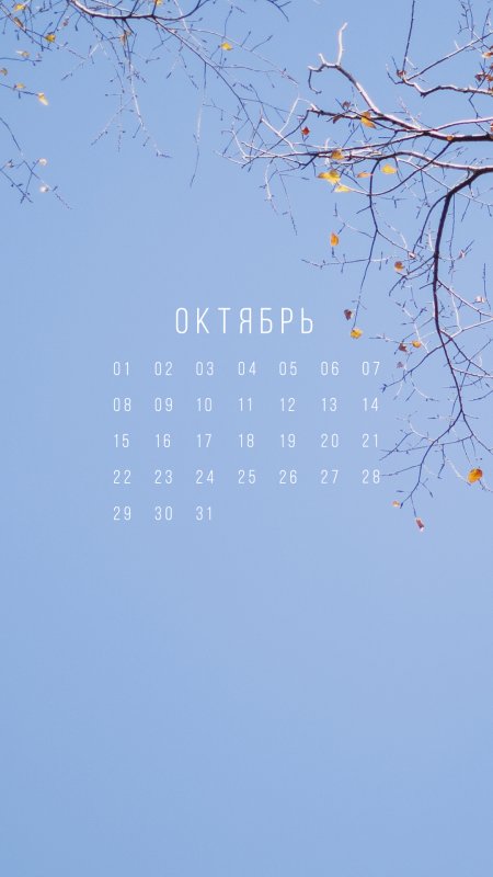 Календарь обои
