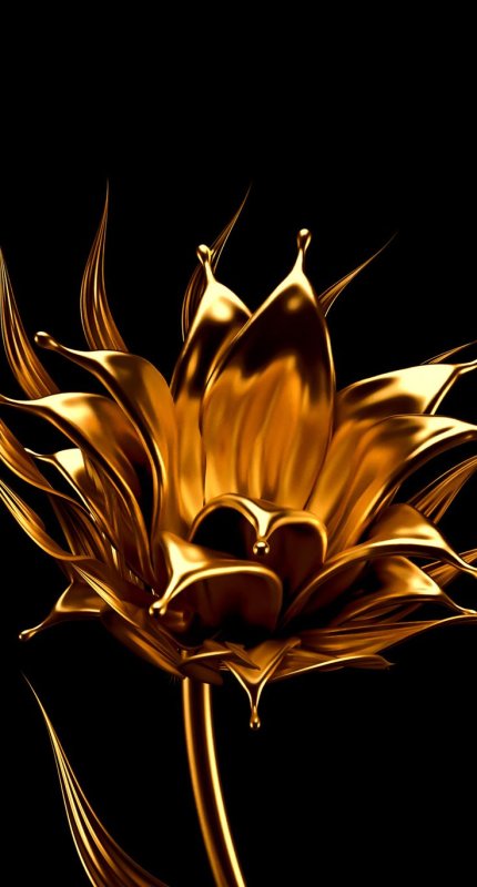 Золотые цветы