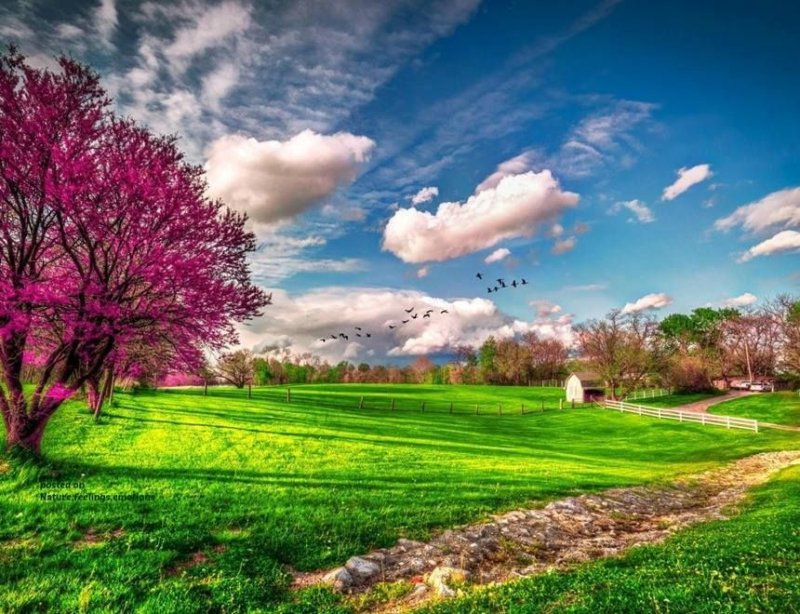 Яркая природа