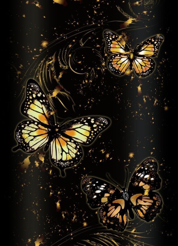 Бабочка на темном фоне